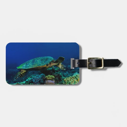 Hawksbill Zee Turtle Bagagelabel (Voorkant horizontaal)