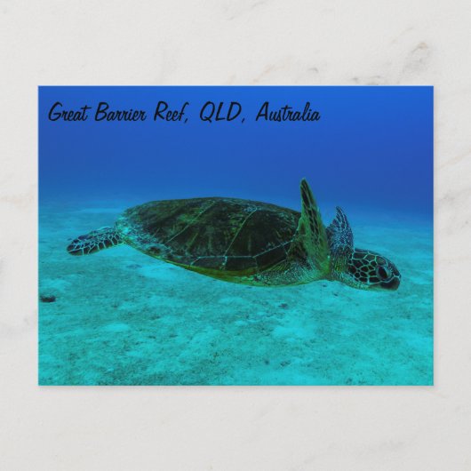 Hawksbill Zee Turtle Briefkaart (Voorkant)