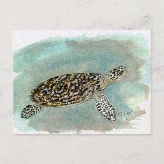 Hawksbill Zee Turtle Briefkaart (Voorkant)