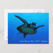 Hawksbill Zee Turtle Briefkaart (Voorkant / Achterkant)