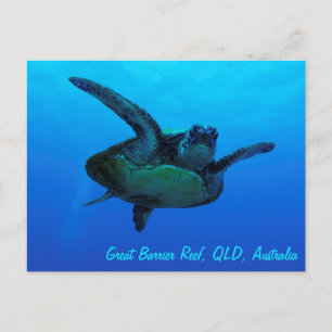Hawksbill Zee Turtle Briefkaart
