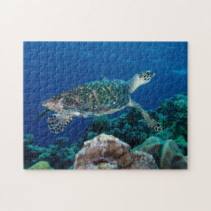 Hawksbill Zee Turtle Great Barrier Reef Coral Gift Legpuzzel