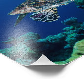 Hawksbill Zee Turtle Photo Print Foto Afdruk (Hoek)