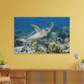 Hawksbill Zee Turtle Swimming Canvas Afdruk (Insitu (Woonkamer))