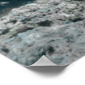 Hawksbill Zee Turtle Swimming Poster (Hoek)