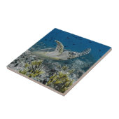 Hawksbill Zee Turtle Swimming Tegeltje (Zijkant)