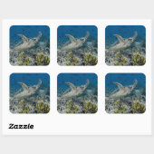 Hawksbill Zee Turtle Swimming Vierkante Sticker (Vel)