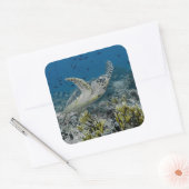 Hawksbill Zee Turtle Swimming Vierkante Sticker (Envelop)