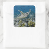 Hawksbill Zee Turtle Swimming Vierkante Sticker (Tas)