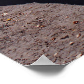 Hawksnest Poster (Hoek)