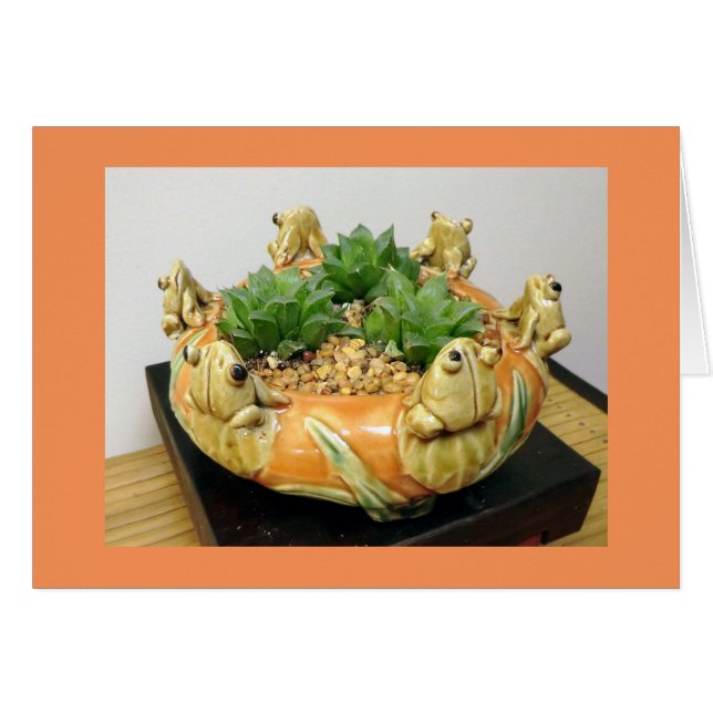 Haworth avec les grenouilles par modèles Succulent (Devant horizontal)