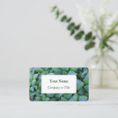 Haworth Succulent Plant Visitekaartjes (Staand voorkant)