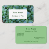 Haworth Succulent Plant Visitekaartjes (Voorkant / Achterkant)