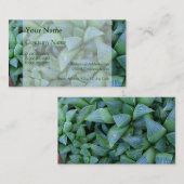 Haworth Succulent Plant Visitekaartjes (Voorkant / Achterkant)