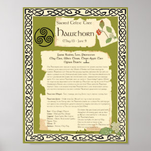 HAWTHORN CELTIC SACRED TREE POSTER