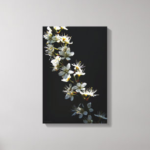 Hawthorn Flowers 11x16,5 (27,5x41,25cm) wol Canvas Afdruk