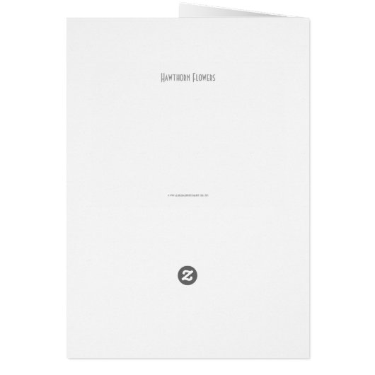 Hawthorn Flowers gcm (Achterkant)