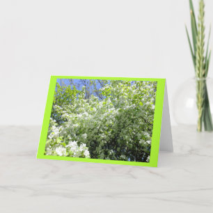Hawthorn Tree in Flower Blank Note Kaart