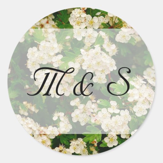 Hawthron Blossom Ronde Sticker (Voorkant)