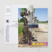 Hay Bale Art - Iron Woman Mailbox Briefkaart (Voorkant / Achterkant)