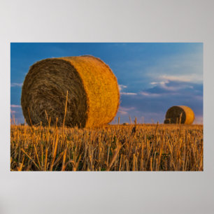 Hay bale poster