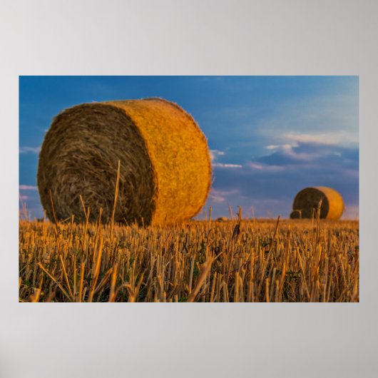 Hay bale poster (Voorkant)