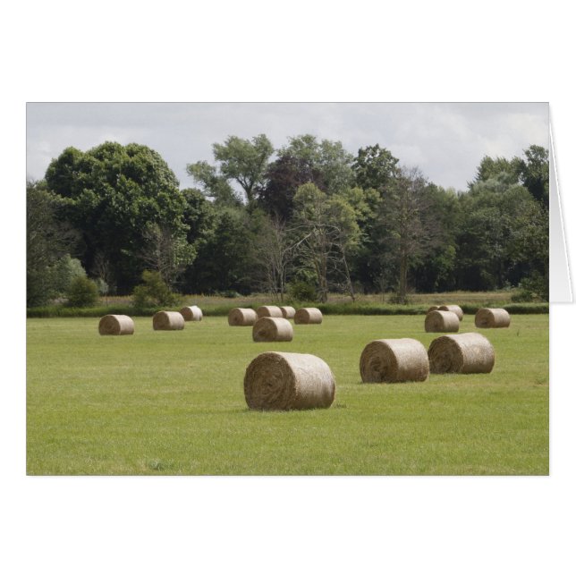 Hay bales (Voorkant Horizontaal)