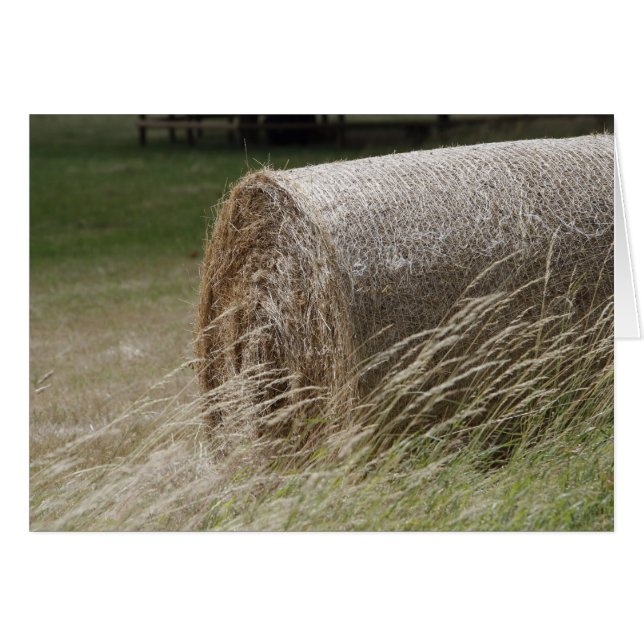 Hay bales (Voorkant Horizontaal)