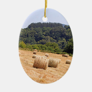 Hay bales langs El Camino, Spanje Keramisch Ornament