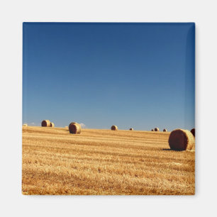 Hay Bales Magneet