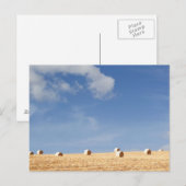 Hay Bales on Field Briefkaart (Voorkant / Achterkant)