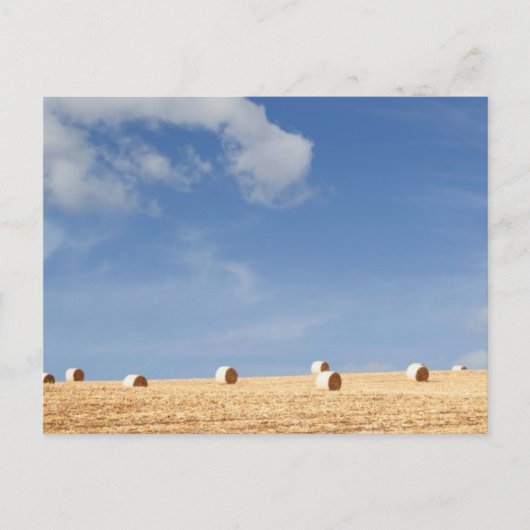 Hay Bales on Field Briefkaart (Voorkant)