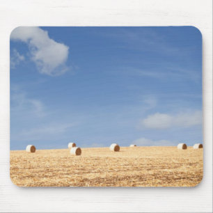 Hay Bales op het veld Muismat