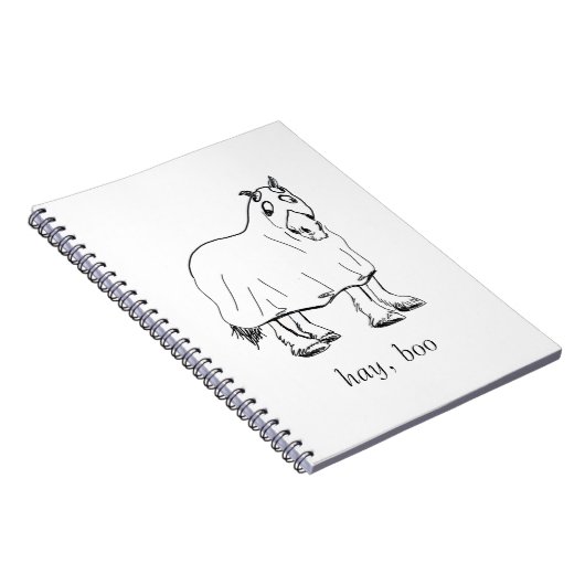 hay, boo journal (Côté Droit)