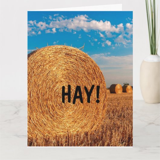 HAY FUNNY PUN HELLO Cartes de voeux (Devant)
