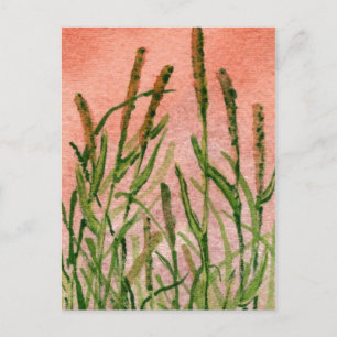 "Hay Someday" Briefkaart voor landwegen