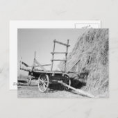 Hay stack en wagon - 1939. briefkaart (Voorkant / Achterkant)