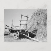Hay stack en wagon - 1939. briefkaart (Voorkant)
