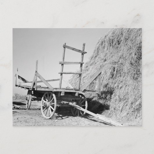 Hay stack en wagon - 1939. briefkaart (Voorkant)