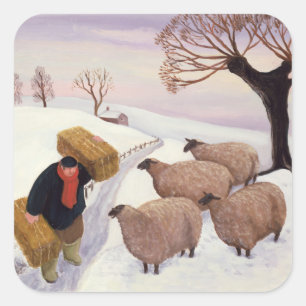 Hay vervoeren naar de schapen in de winter vierkante sticker