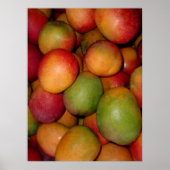 Hayden Mango Poster (Voorkant)