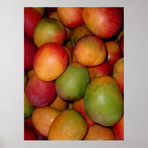 Hayden Mango Poster
