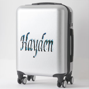 Hayden Name Logo Sticker