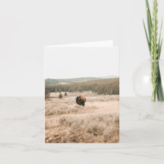 Hayden Valley -- 4" x 5.6" Notecard Kaart (Voorkant)