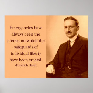 Hayek over noodsituaties poster