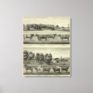Hayes, Olathe en Ellis Residence and Boerderij Canvas Afdruk