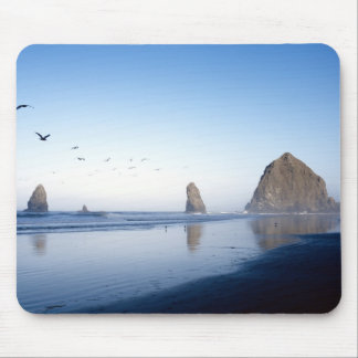 Haystack Rock Mousepad Muismat