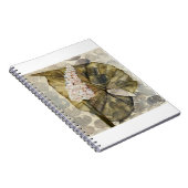 HAZ25 Amazonia 3.tif Notitieboek (Rechterzijde)