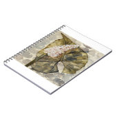 HAZ25 Amazonia 3.tif Notitieboek (Linkerzijde)