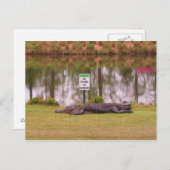 Hazard Briefkaart (Voorkant / Achterkant)